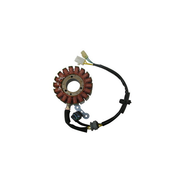 MAGNETE STATORE ALTERNATORE PER SCOOTER KYMCO 250/300 IE XCITING S SGR PEOPLE