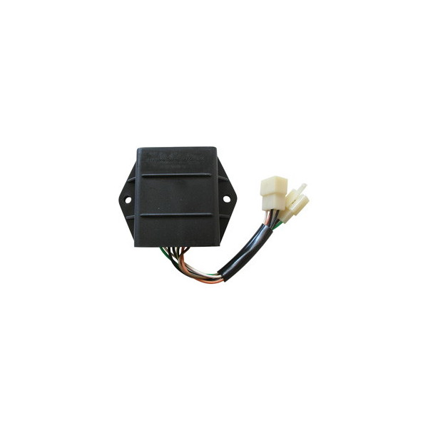 CENTRALINA ACCENSIONE CDI PER SUZUKI GS 500 89/01 2001-2002
