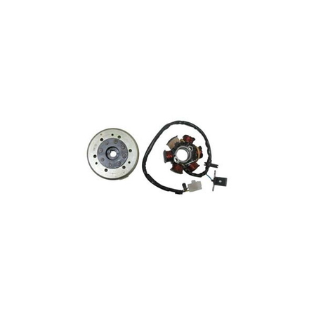 VOLANO ROTORE MAGNETE PER SCOOTER PEUGEOT 50 SPEEDFIGHT 3 LUDIX 10 SP BLASTER