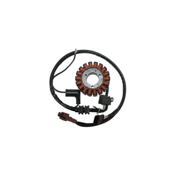 MAGNETE STATORE ALTERNATORE PER PIAGGIO 125 4V-IE BEVERLY MP3/X1 SGR MP3 TOURING