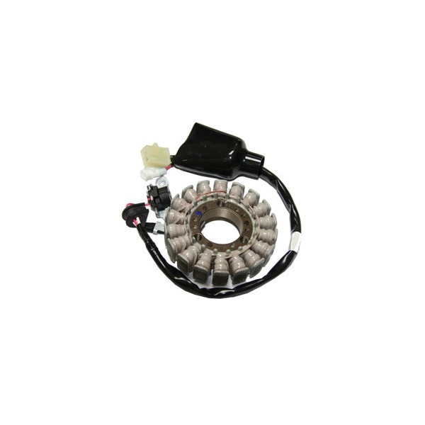 MAGNETE STATORE ALTERNATORE PER YAMAHA 125 X-MAX/X-CITY SGR 2006-2012 2007-2012