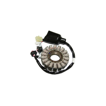 MAGNETE STATORE ALTERNATORE PER YAMAHA 125 X-MAX/X-CITY SGR 2006-2012 2007-2012