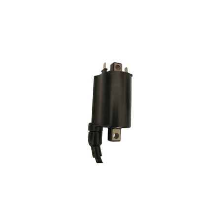 BOBINA ACCENSIONE AT ESTERNA PER MOTO GUZZI 2 FASTON 12V-CC 4,0 OHM 0000-0000