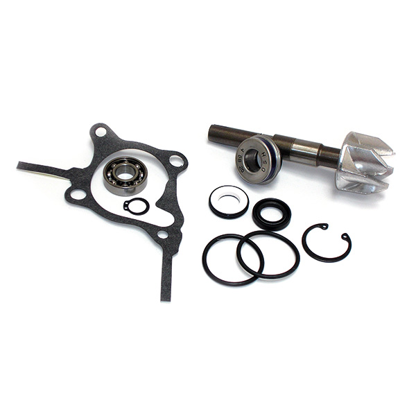 KIT RIPARAZIONE POMPA ACQUA PER SCOOTER HONDA 250 FORESIGHT-JAZZ SGR