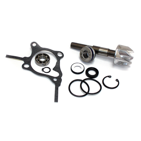 KIT RIPARAZIONE POMPA ACQUA PER SCOOTER HONDA 250 FORESIGHT-JAZZ SGR