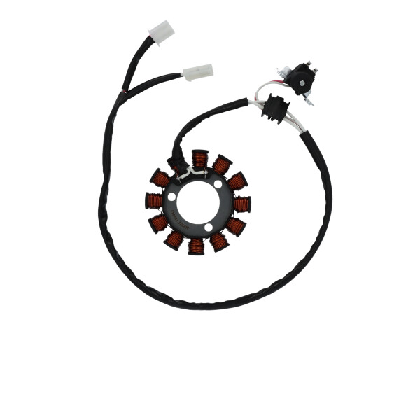 MAGNETE STATORE ALTERNATORE PER YAMAHA X-MAX 300 TRICITY SGR CZD-A