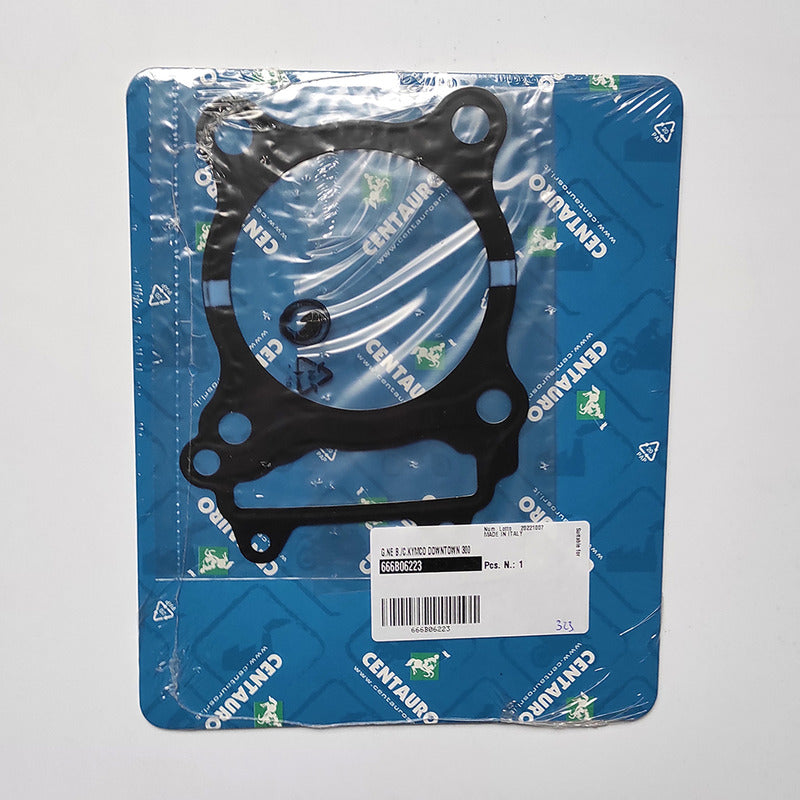 GUARN.BASE CILINDRO KYMCO DOWNTOWN 300 666B06223 2009-2016