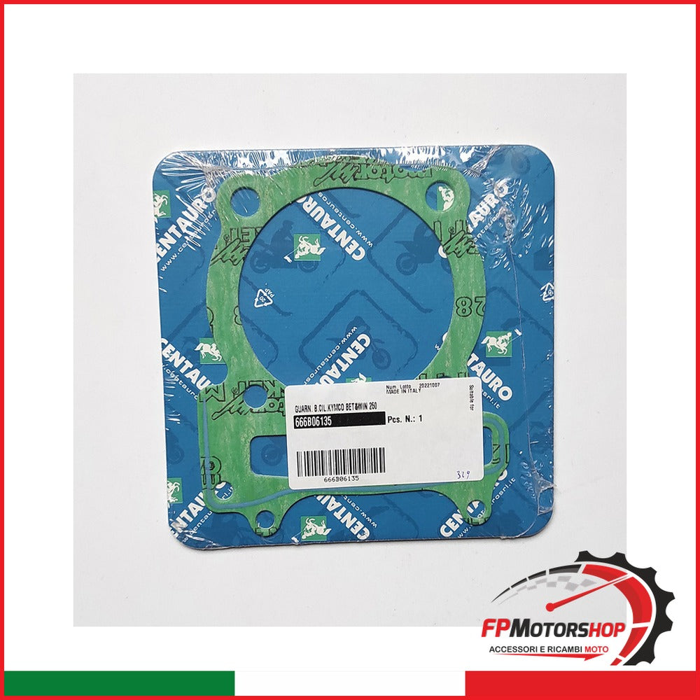 GUARN.BASE CILINDRO KYMCO XCITING 300 666B06135 2008-2009