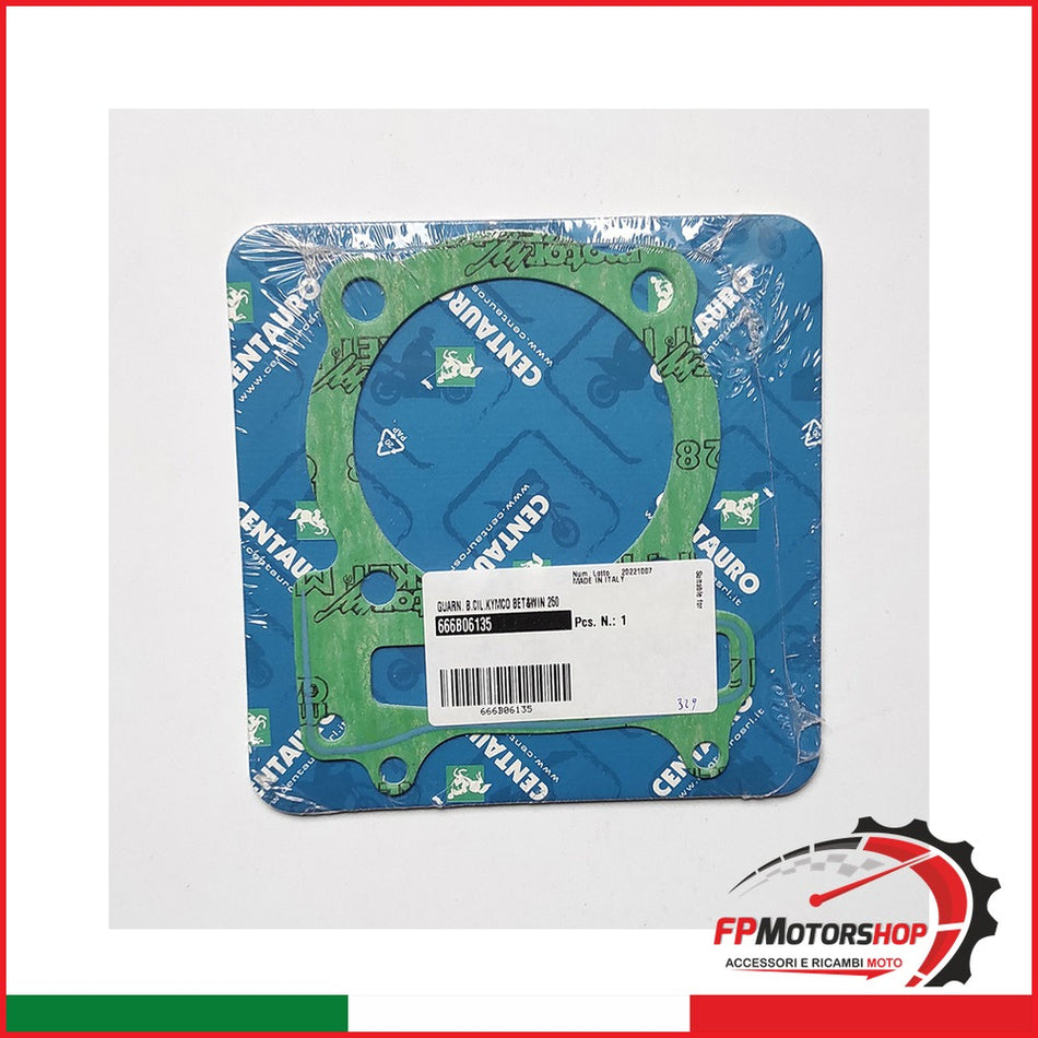 GUARN.BASE CILINDRO KYMCO XCITING 300 666B06135 2008-2009