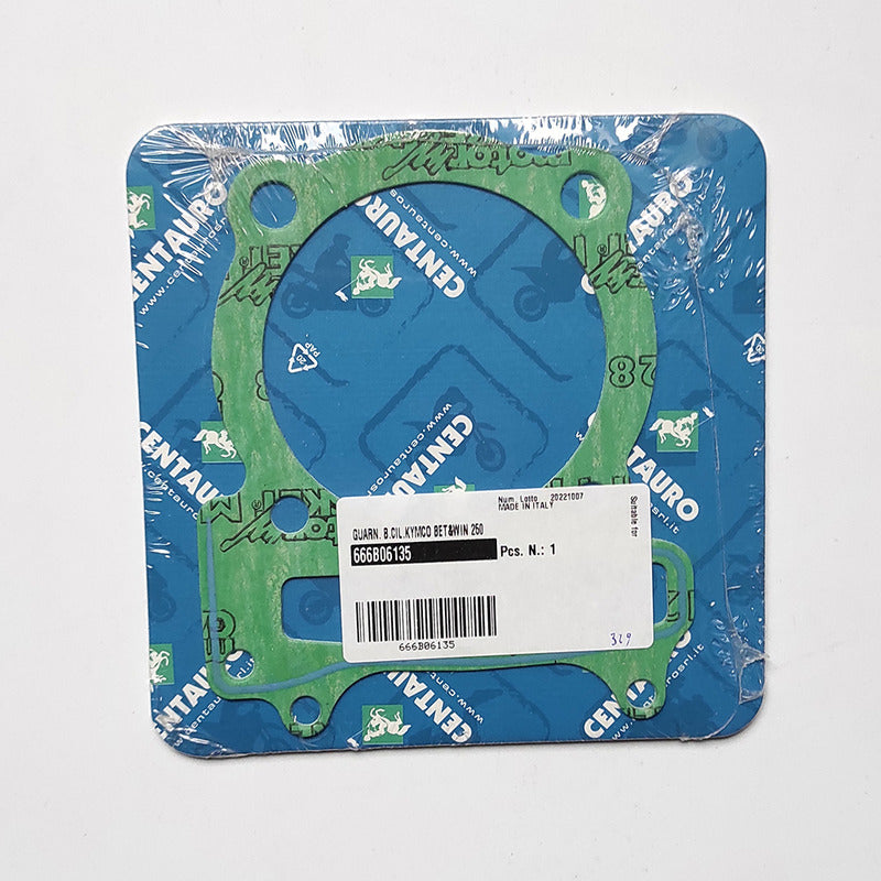 GUARN.BASE CILINDRO KYMCO XCITING 300 666B06135 2008-2009