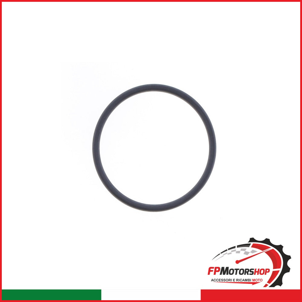 GUARN.SCARICO KTM SX 125/250 02-16 Z043070RR BETA RR 2T 2002-2016 CAGIVA