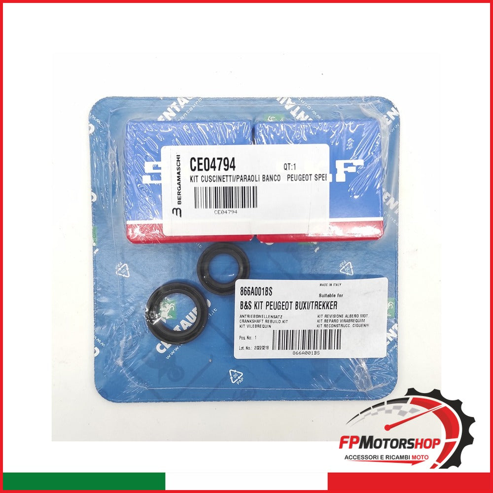 KIT CUSCINETTI/PARAOLI BANCO PEUGEOT SPEEDAKE 866A001BS VIVACITY BUXY CENTAURO