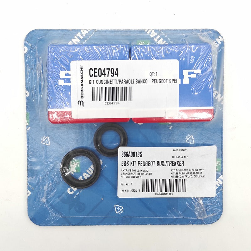 KIT CUSCINETTI/PARAOLI BANCO PEUGEOT SPEEDAKE 866A001BS VIVACITY BUXY CENTAURO
