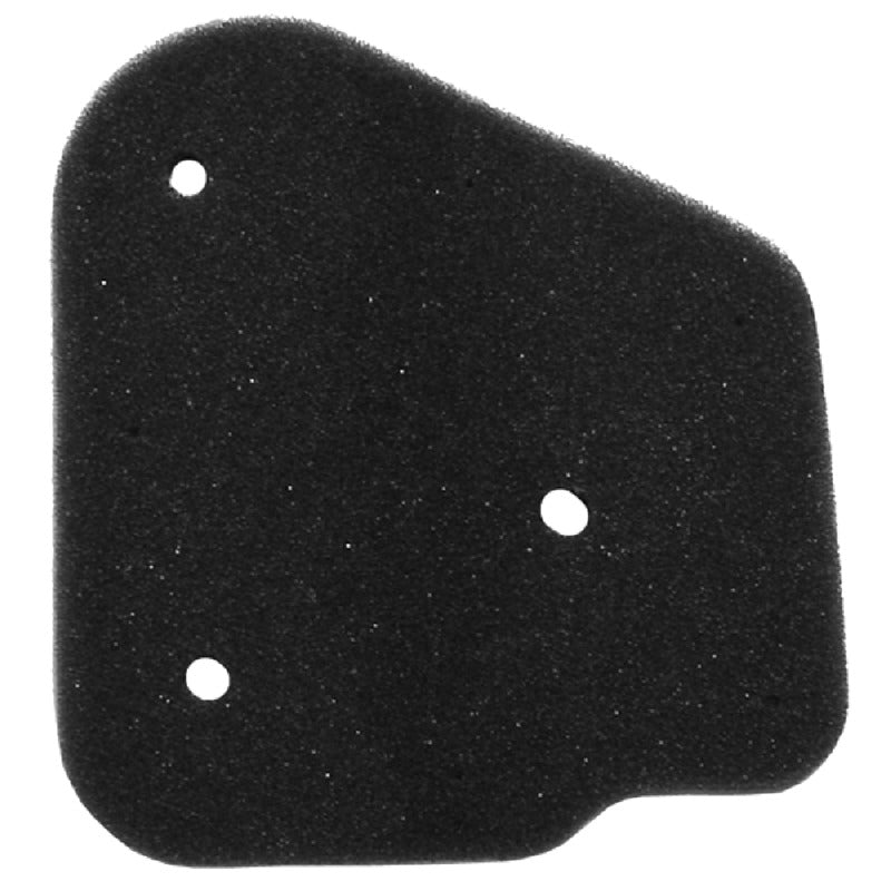 FILTRO ARIA MOTO 27.207.00 MALAGUTI F10 F12 YAMAHA BENELLI KEEWAY