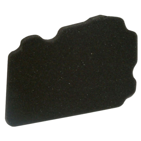 FILTRO ARIA MOTO YAMAHA HFA4202 TW200 1996-2006