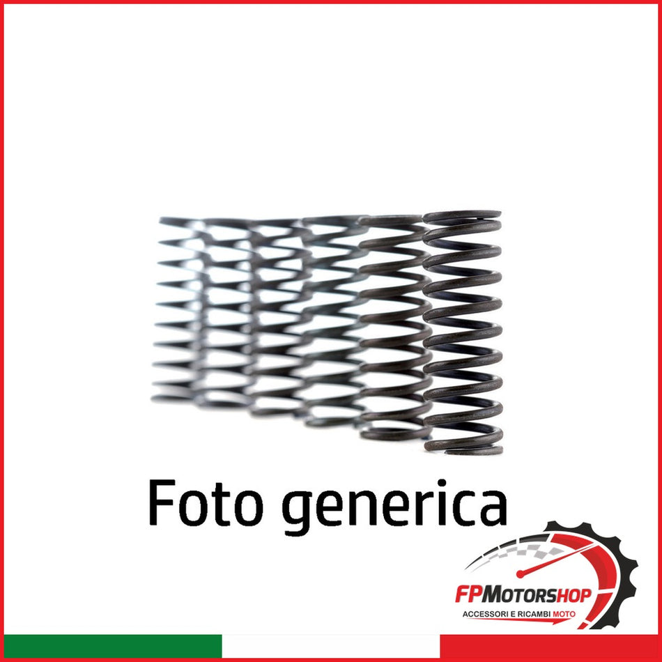 [FF050120] MOLLE FRIZIONE FSS0501