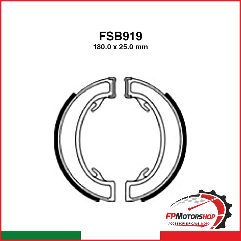[FSB919] GANASCE FERODO FSB919
