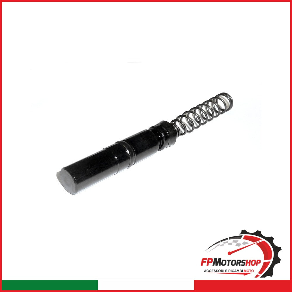 KIT REV.POMPA FRENO GRIMECA ANT. PIAGGIO 4755071020 FREE/NRG GILERA