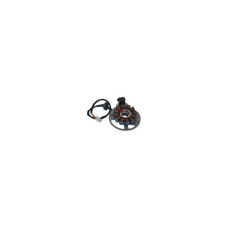 STATORE MAGNETE PER MALAGUTI F12 P431142016 F15 F10 CIAK 12 2002-2004