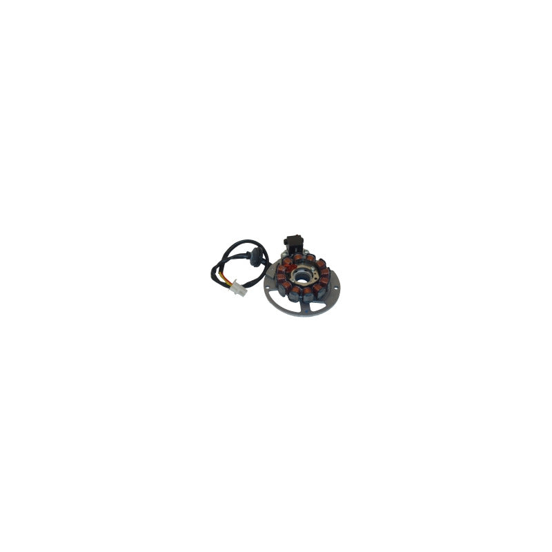STATORE MAGNETE PER MALAGUTI F12 P431142016 F15 F10 CIAK 12 2002-2004
