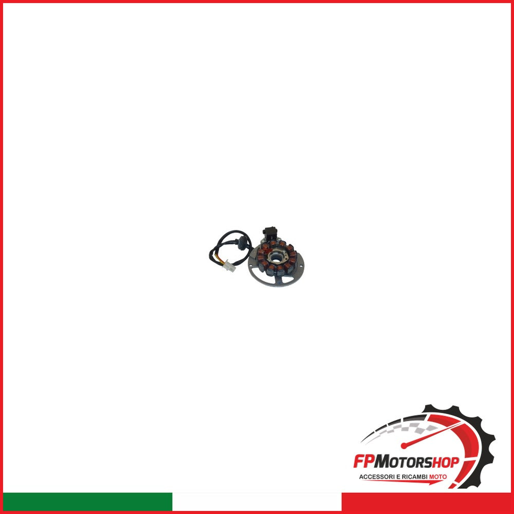 STATORE MAGNETE PER MALAGUTI F12 P431142016 F15 F10 CIAK 12 2002-2004