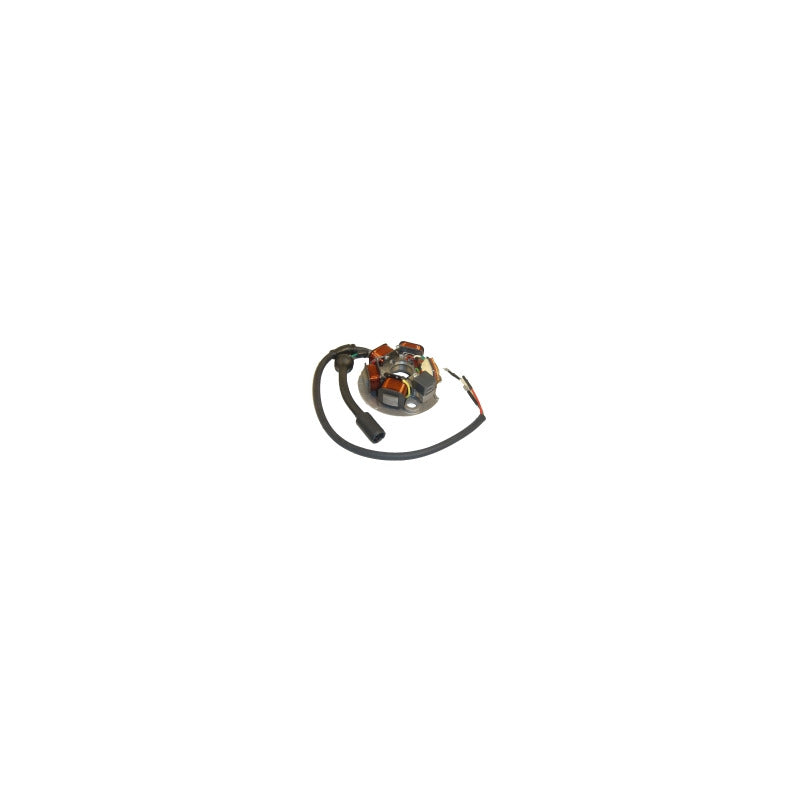 STATORE MAGNETE PER APE 50P/FL/FL2/FL3/RST PIAGGIO P431936204 VESPA PK125S