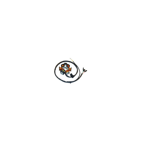 STATORE MAGNETE PER APRILIA AF1 P631964690 50RX50 TUAREG 50 DUCATI ENERGIA