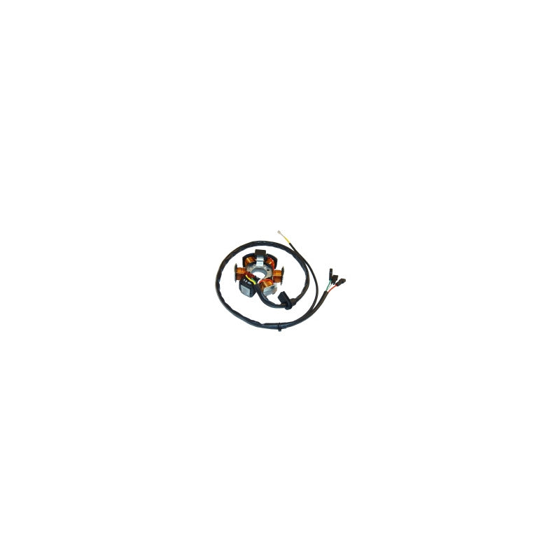 STATORE MAGNETE PER APRILIA AF1 P631964690 50RX50 TUAREG 50 DUCATI ENERGIA