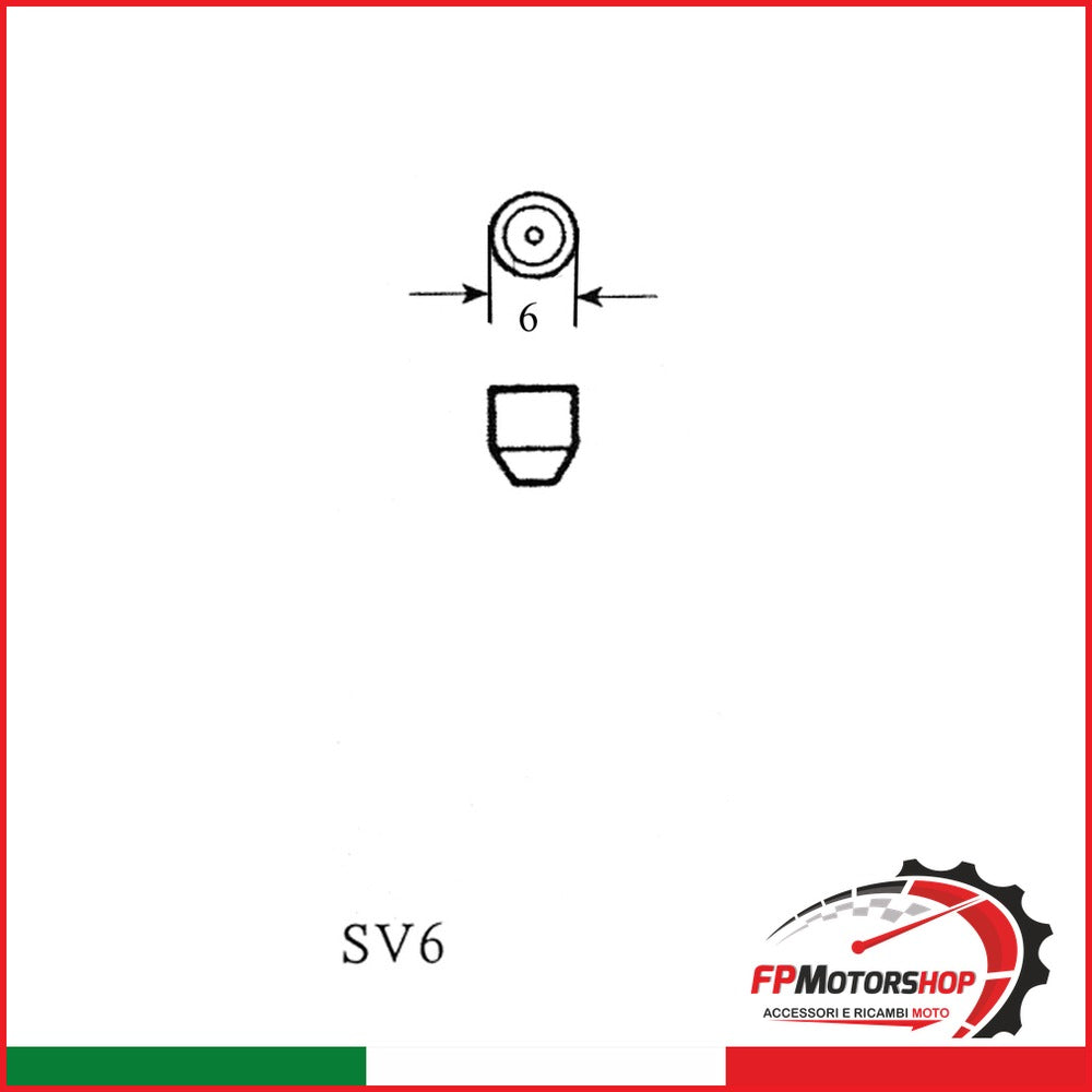SCATOLA 10PZ LAMP.SILURO 12V3W 6,5X31 RIATEC E034039 - foto brandizzata