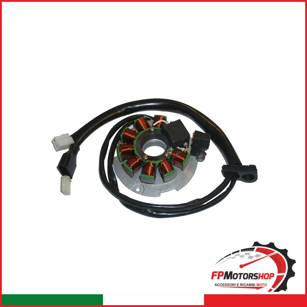 STATORE MAGNETE PER HEXAGON 125/150/180 OKYAMI V100293391 GILERA RUNNER 8 BOBINE