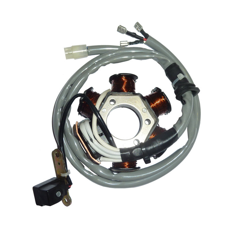 STATORE MAGNETE PER PIAGGIO ZIP OKYAMI V733100134 50 VESPA ET2 6 1992-2000