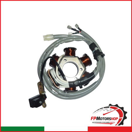STATORE MAGNETE PER PIAGGIO ZIP OKYAMI V733100134 50 VESPA ET2 6 1992-2000