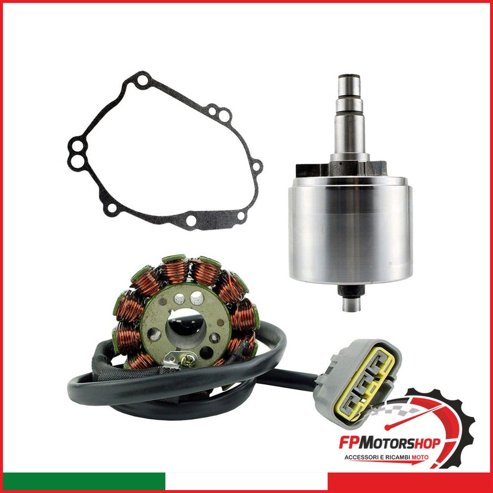 [V831500101] KIT VOLANO FORMATO DA ROTORE, STATORE E GUARNIZIONE RMS900-106628