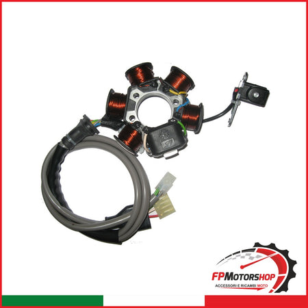 STATORE MAGNETE KOKUSAN PER PIAGGIO V833100115 FREE 50 POSTE 5 BOBINE