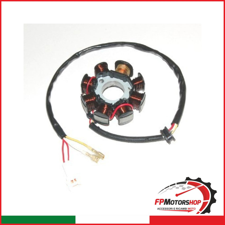 STATORE KTM 250EXC-R 02-05 ESG146 2002-2005