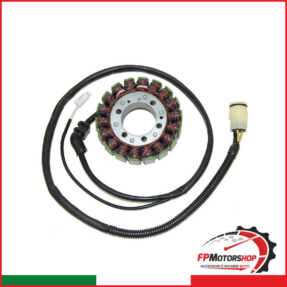 [V833200156] STATORE KAWASAKI ZX-12R NINJA 02-03 ESG591