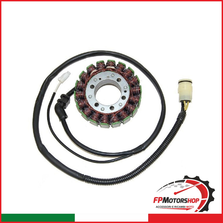 [V833200156] STATORE KAWASAKI ZX-12R NINJA 02-03 ESG591