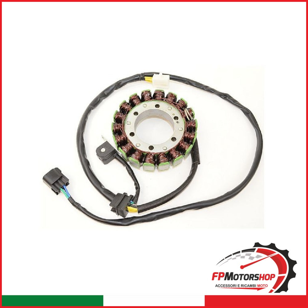 STATORE SUZUKI DR 650SE 96-00 ESG309 FREEWIND 650 1996-2000