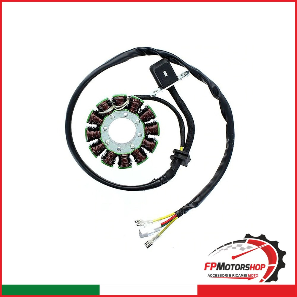 STATORE KTM XC-F 250/350 11-14 ESG169 ELECTROSPORT SX-F 250 2011-2014