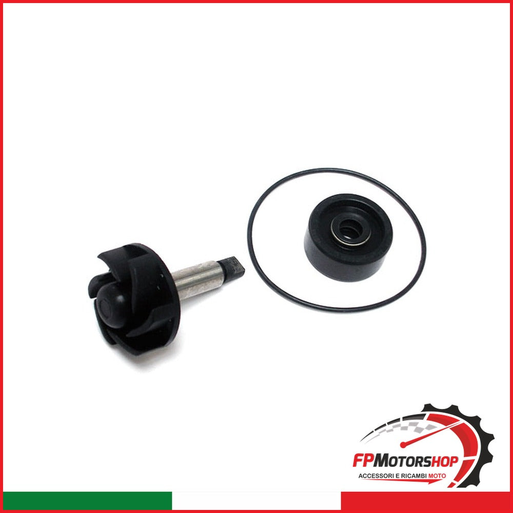 KIT REVISIONE POMPA ACQUA PER OKYAMI V839300706 YAMAHA MAJESTY 125 150 MBK
