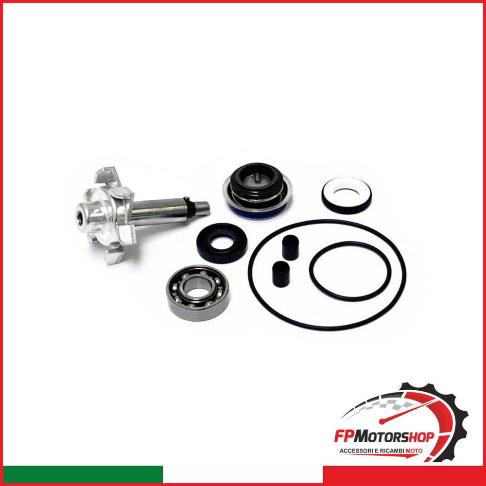KIT REVISIONE POMPA ACQUA PER OKYAMI V839300732 HONDA PCX 125.150 10