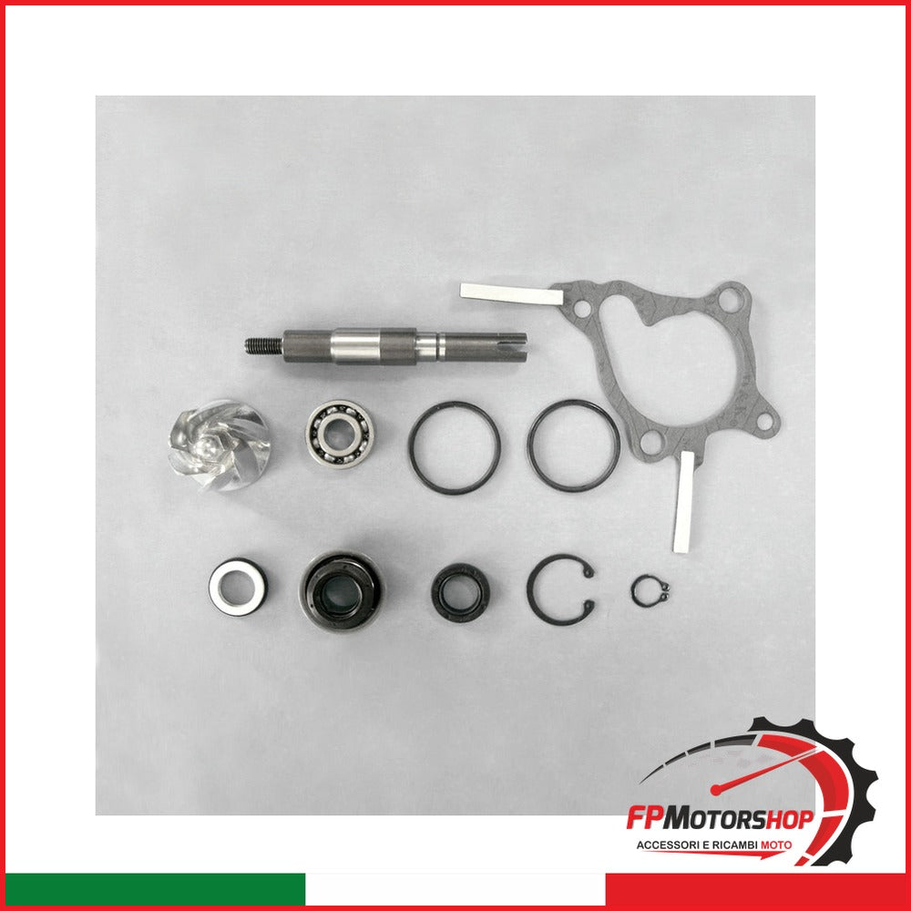 KIT REVISIONE POMPA ACQUA PER OKYAMI V839300742 HONDA FORESIGHT 250 PARAOLIO