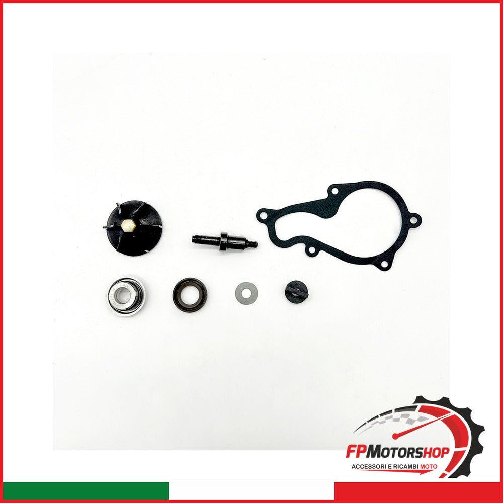 KIT REVISIONE POMPA ACQUA PER OKYAMI V839300744 PIAGGIO BEVERLY 350 11 2011-2020