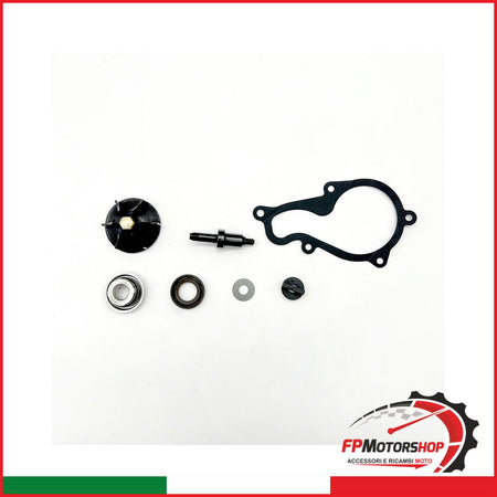 KIT REVISIONE POMPA ACQUA PER OKYAMI V839300744 PIAGGIO BEVERLY 350 11 2011-2020