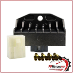 REGOLATORE DI TENSIONE PER HONDA CBF 125 09-13 RM STATOR RMS020-106066 12V