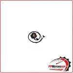 STATORE MAGNETE PER APRILIA AF1 50RX50 TUAREG 50 89-91 DUCATI ENERGIA 5 BOBINE