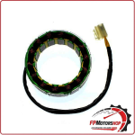 STATORE MAGNETE PER DUCATI 916 GUZZI CAL IFORNIA 1100 ELECTROSPORT ESG814 14