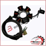 STATORE MAGNETE KOKUSAN PER PIAGGIO FREE 50 POSTE 5 BOBINE