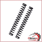 COPPIA MOLLE FORCELLA YSS PER MOTO LR360A100S260X YAMAHA YZF-R1 DUCATI 1198