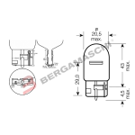 SCATOLA 10PZ LAMPADE VETRO 12V W21/5W T20 RIATEC PER AUTO MOTO SCOOTER